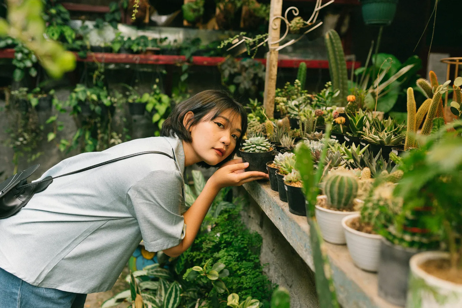 Plataforma E-Commerce Plantmatch
